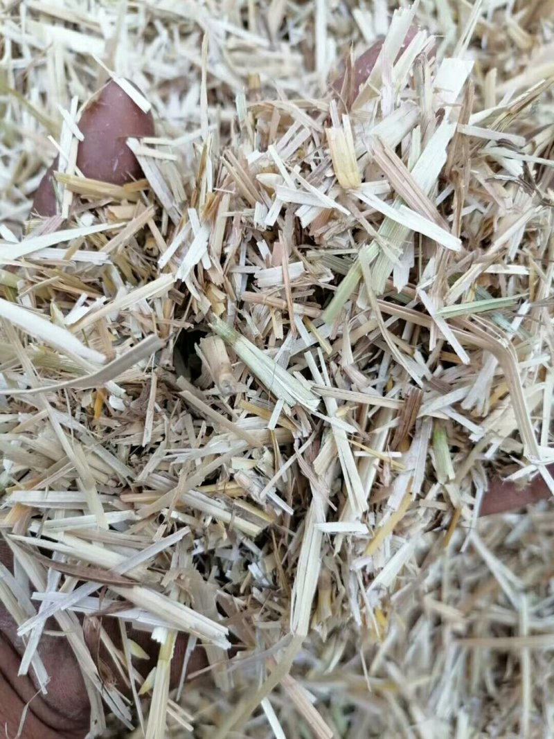 小麦秸秆大量出售各种规格小麦秸秆