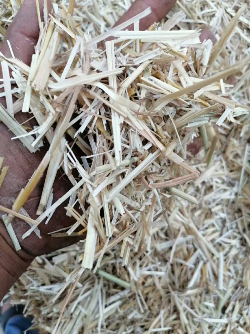 小麦秸秆大量出售各种规格小麦秸秆