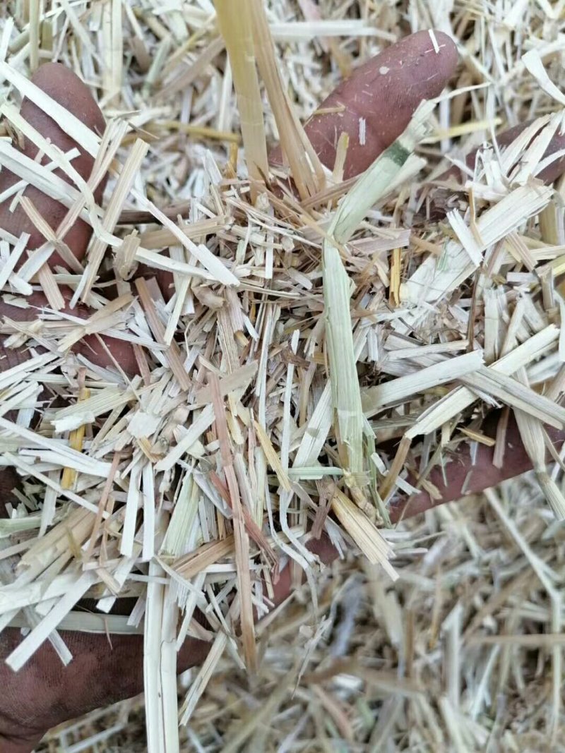 小麦秸秆大量出售各种规格小麦秸秆