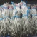 精品长豆角大量上市中60公分左右