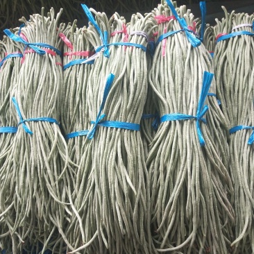 精品长豆角大量上市中60公分左右