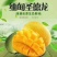 缅甸进口圣德龙芒果热带应季新鲜芒果整箱水果包邮现摘大芒果