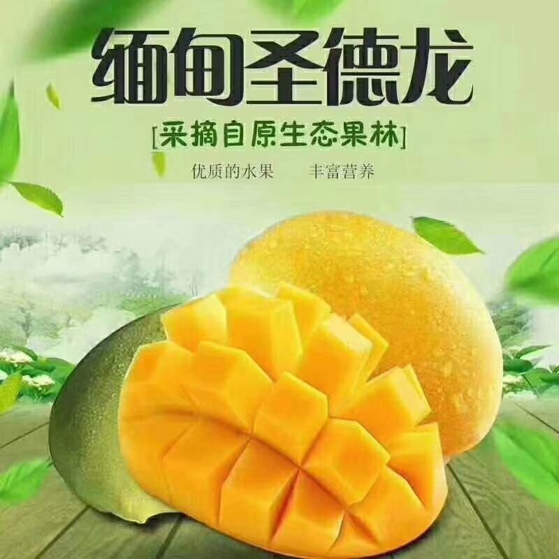 缅甸进口圣德龙芒果热带应季新鲜芒果整箱水果包邮现摘大芒果