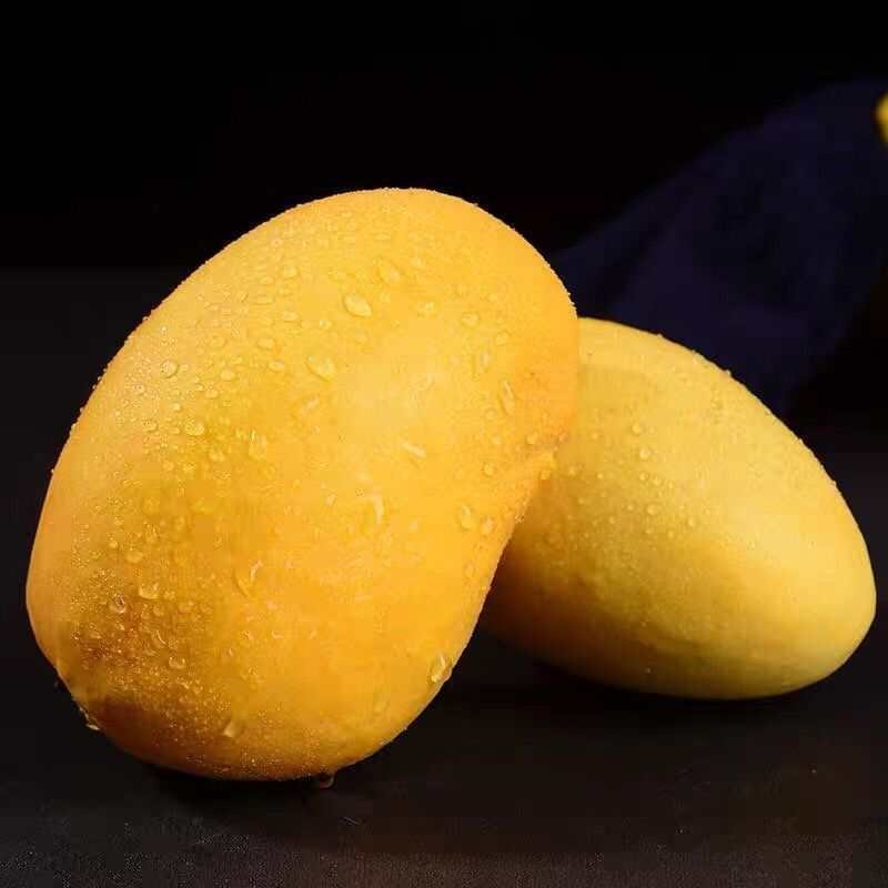 缅甸进口圣德龙芒果热带应季新鲜芒果整箱水果包邮现摘大芒果