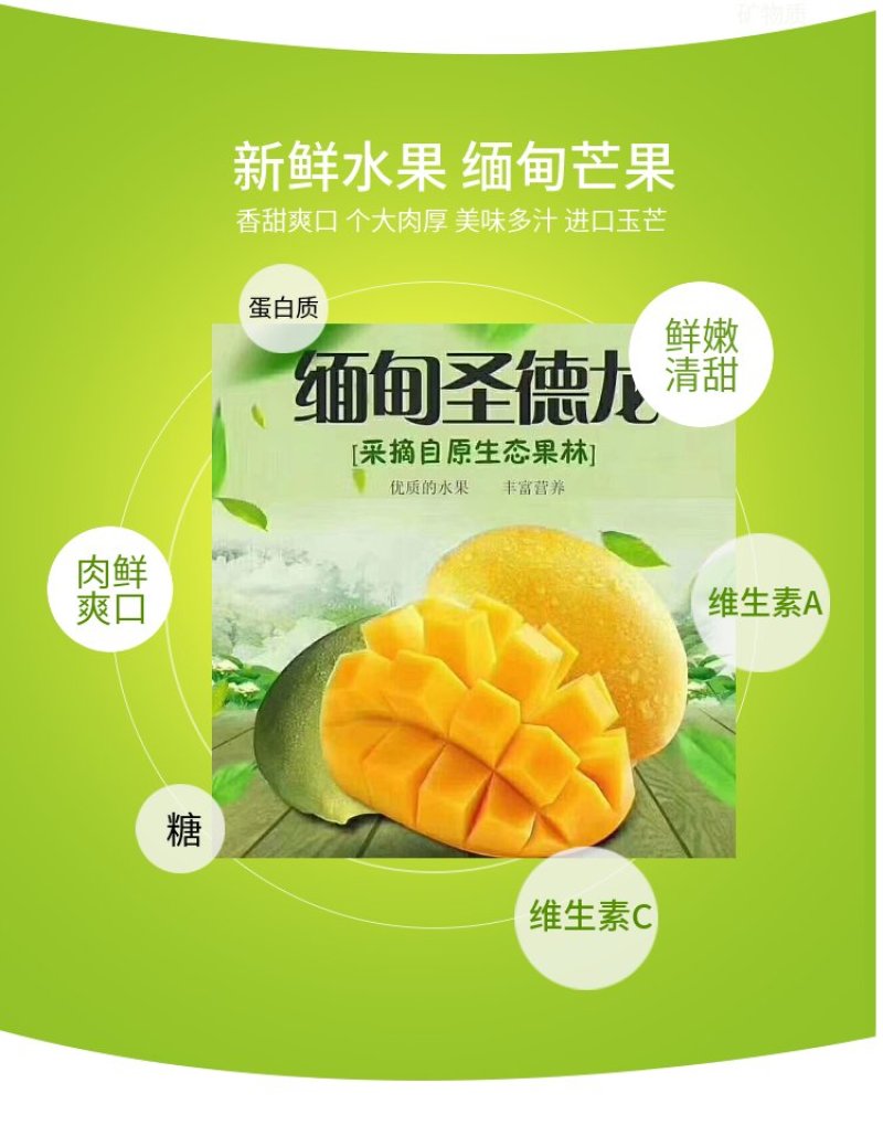 缅甸进口圣德龙芒果热带应季新鲜芒果整箱水果包邮现摘大芒果