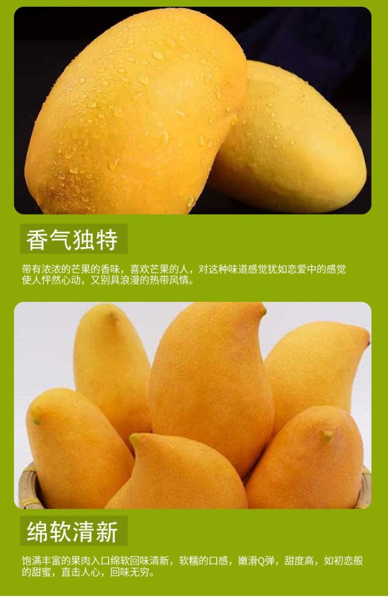 缅甸进口圣德龙芒果热带应季新鲜芒果整箱水果包邮现摘大芒果