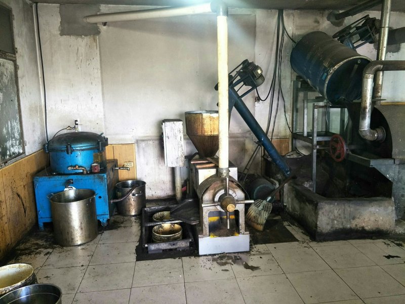 胡麻油
