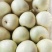 小甜瓜