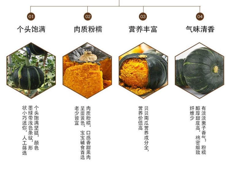 一件代发板栗贝贝小南瓜板栗南瓜只做真品南瓜新鲜南瓜蔬菜