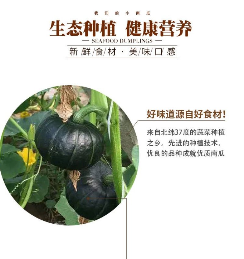 一件代发板栗贝贝小南瓜板栗南瓜只做真品南瓜新鲜南瓜蔬菜
