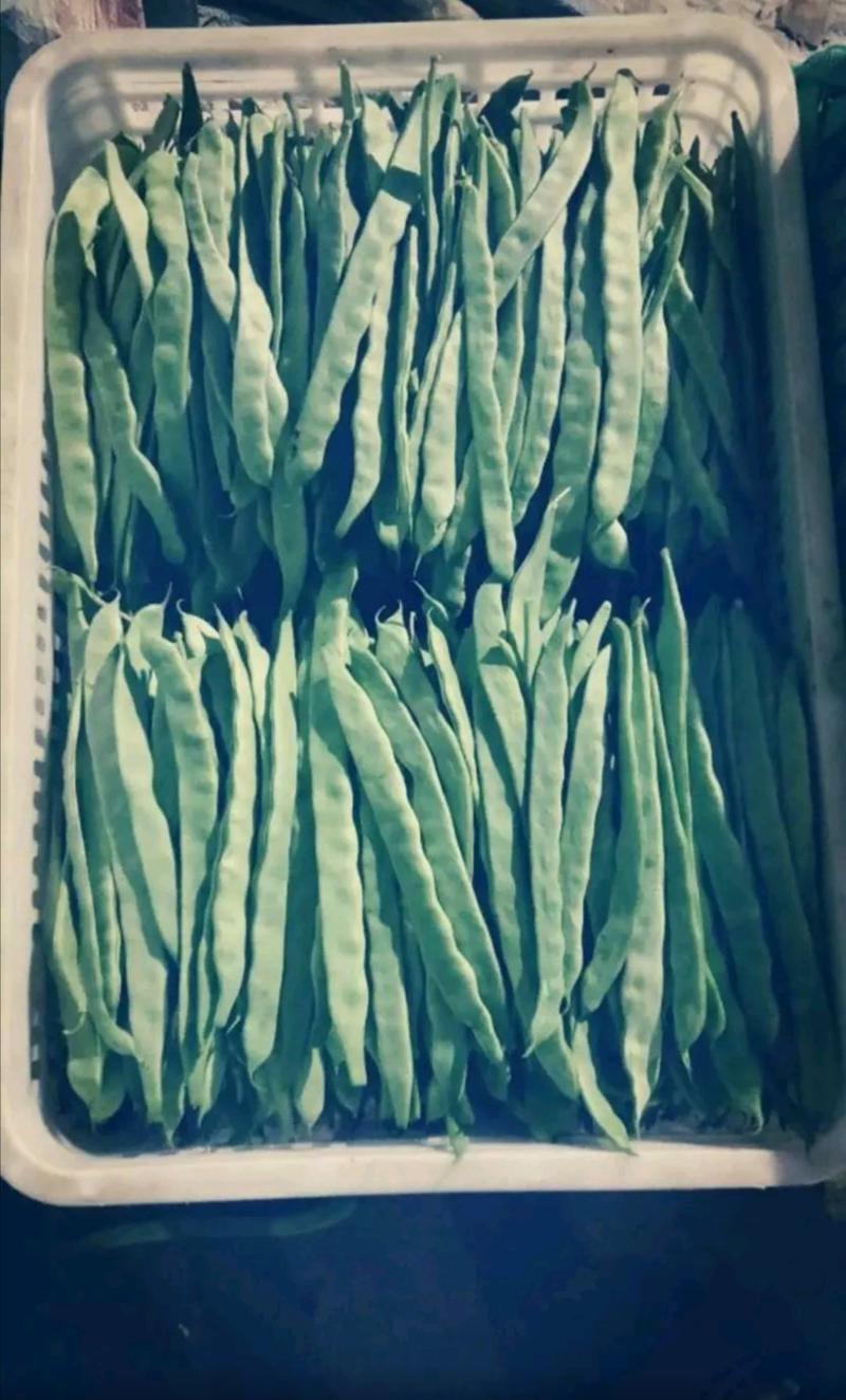 山西应县精品扁豆，地豆，白不老，架豆王，小金豆大量上市