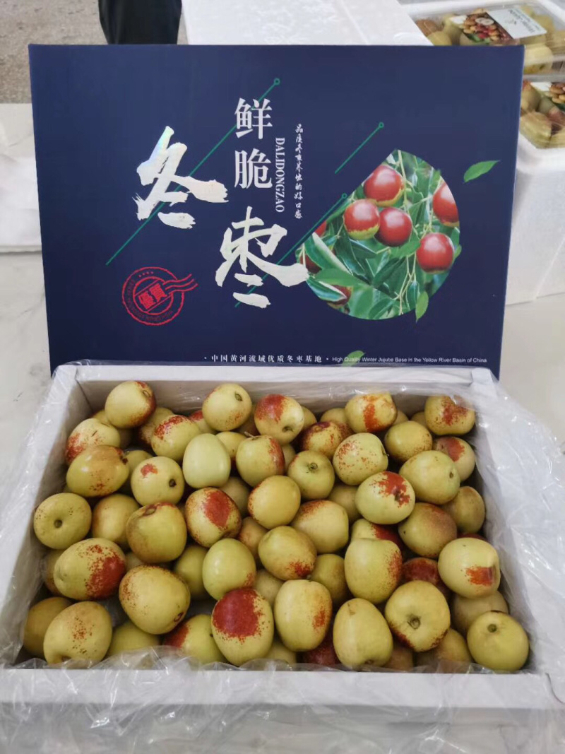 陕西冬枣上市了冬枣一件代发陕西冬枣新鲜采摘