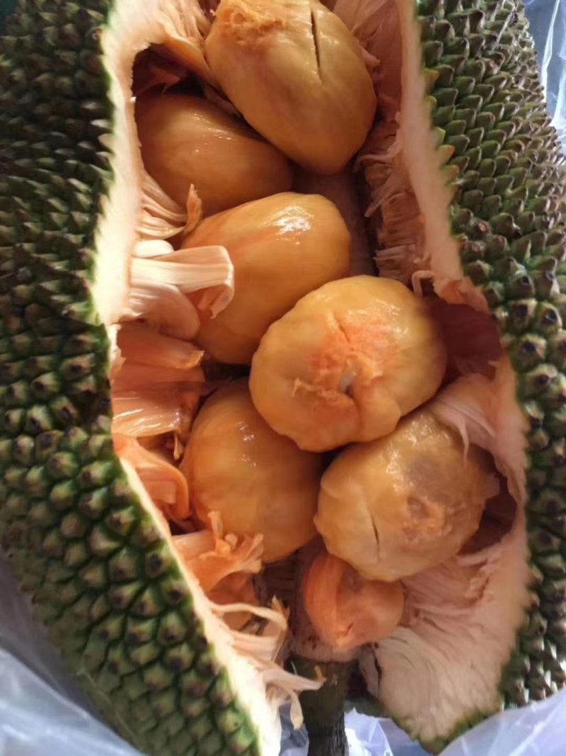 海南榴莲蜜
