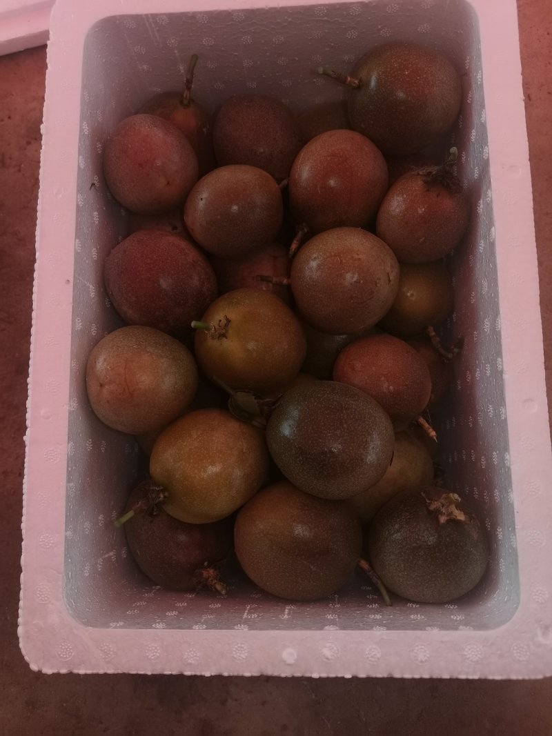 紫香百香果