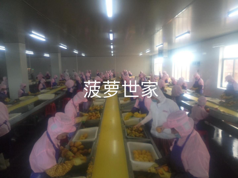 台农芒果速冻块，速冻原料干，口感香甜，一口下去满满的汁