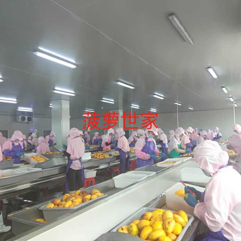 台农芒果速冻块，速冻原料干，口感香甜，一口下去满满的汁