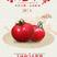 『一件代发』普罗旺斯西红柿番茄硬果当天采摘当天发5斤