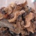 精品干羊肚耳物美价廉10斤包邮
