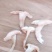 野生松茸干片1000克包邮