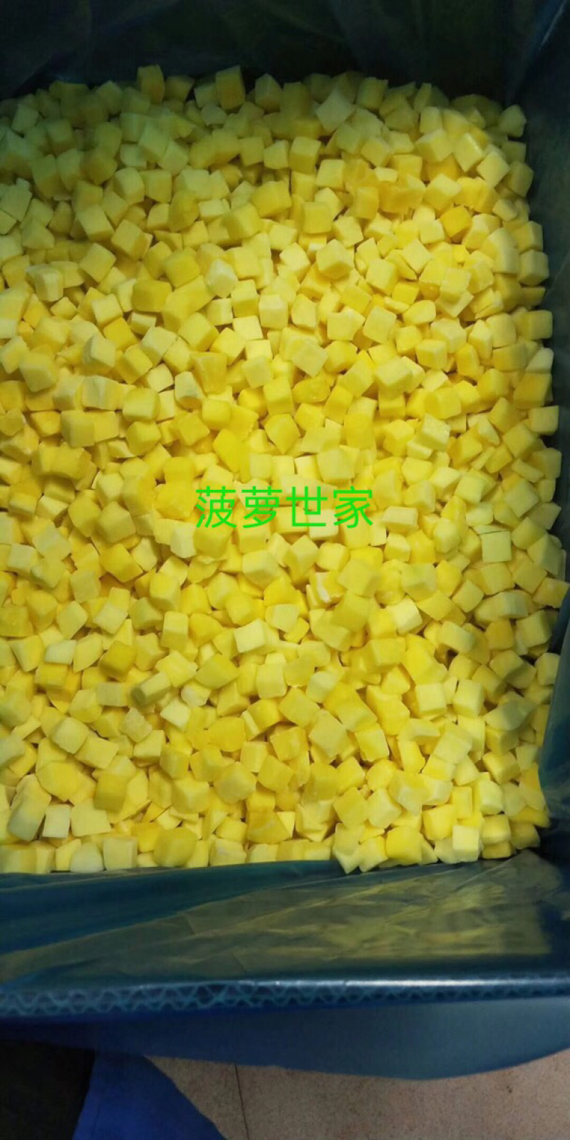 菠萝扇块速冻、速冻菠萝丁