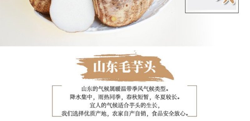 一件代发农家小芋头毛芋头3/5/10斤营养丰富软糯丝
