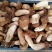 云南野生菌美味牛肝菌鲜货