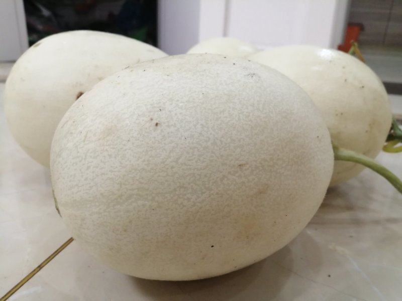 甜瓜