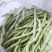 兴城市强远蔬菜交易合作社白芸豆，白条豆角，产量大，品质好