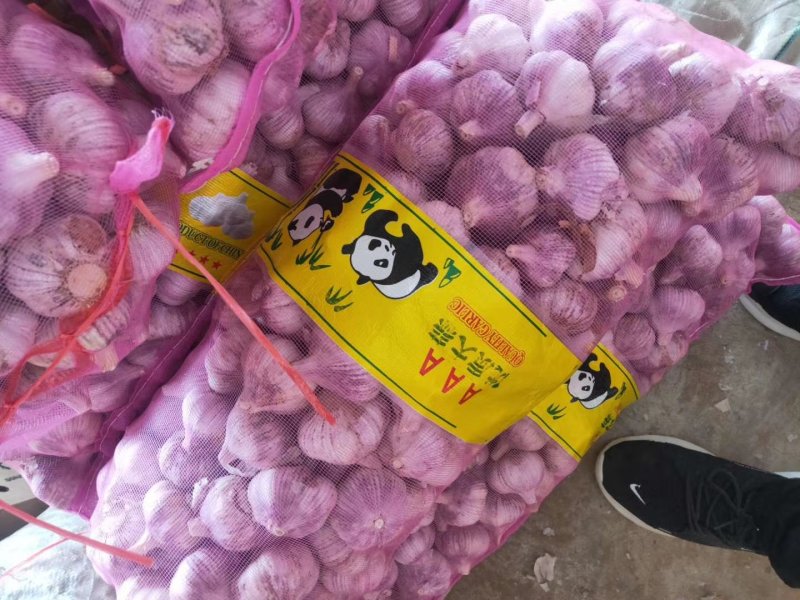 大蒜代收带储存代加工，大型冷库，实力配资