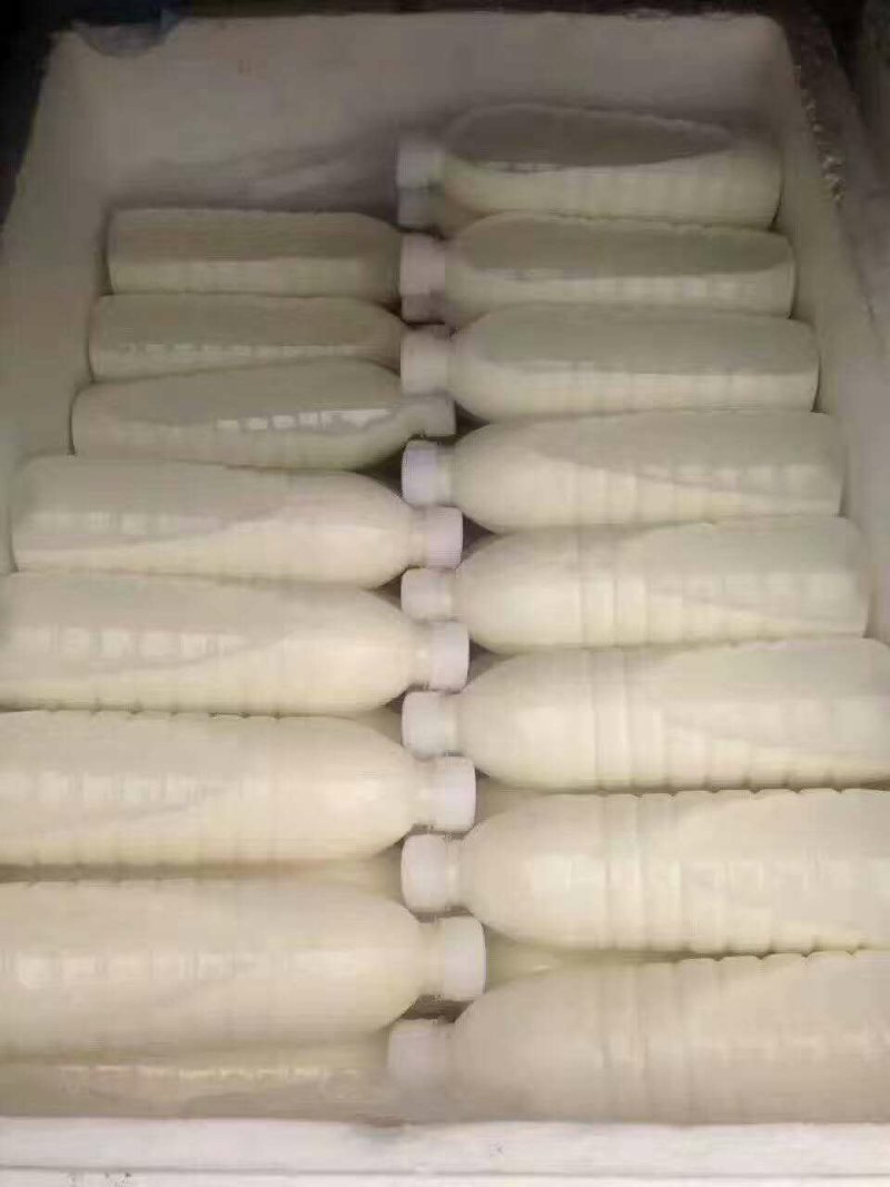 水牛奶，牛初乳