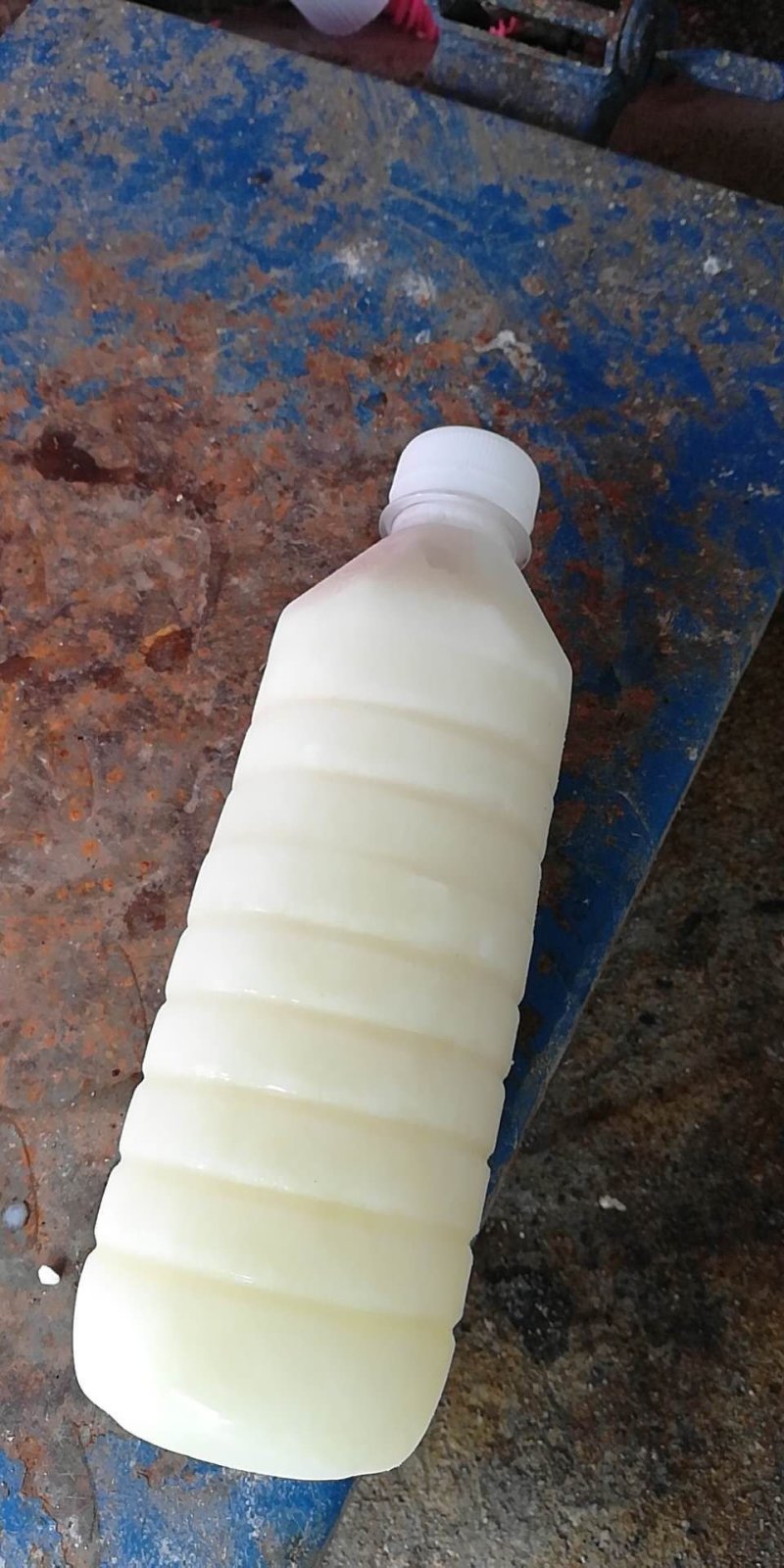 水牛奶，牛初乳