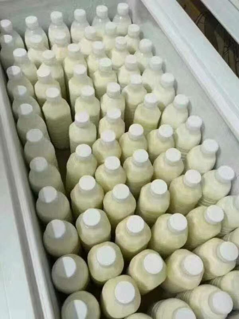 水牛奶，牛初乳