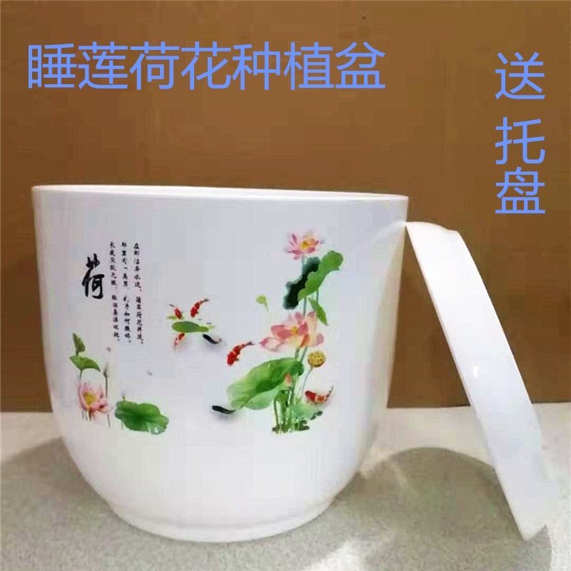 防陶瓷塑料树脂底部无孔眼睡莲不漏水水培荷花盆
