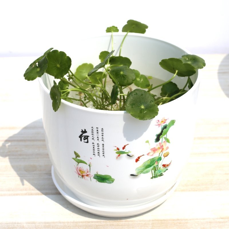 防陶瓷塑料树脂底部无孔眼睡莲不漏水水培荷花盆