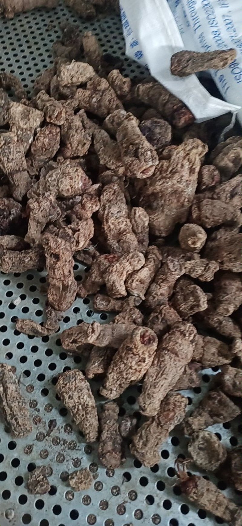 云南野生雪里见，半载烂，有需要的老板请多关照