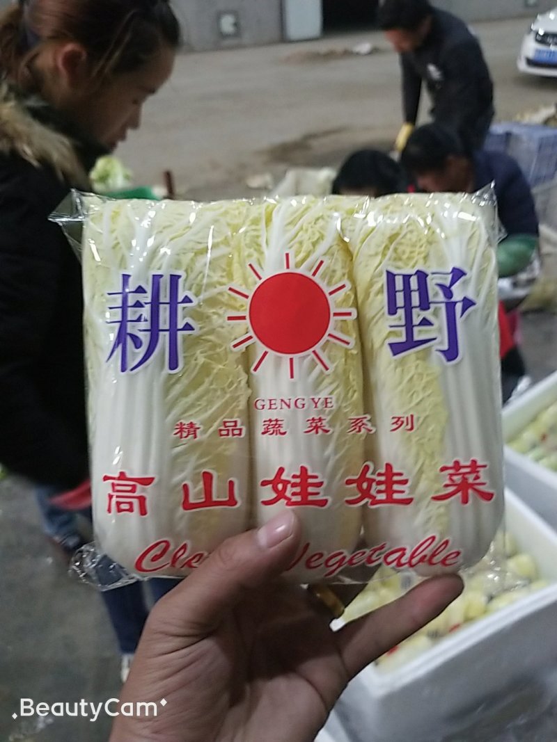 娃娃菜