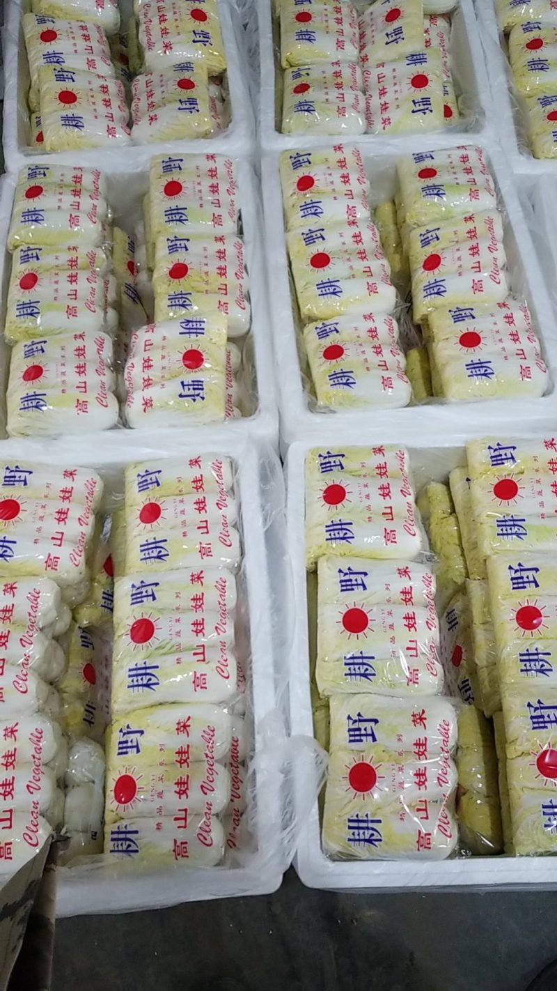 娃娃菜