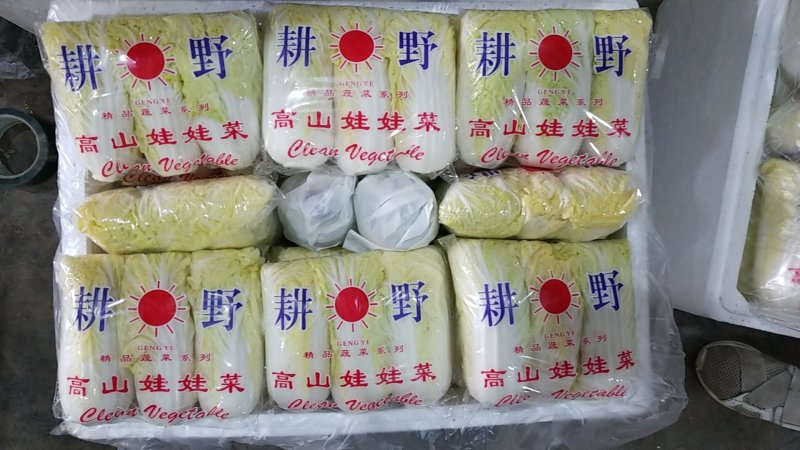 娃娃菜