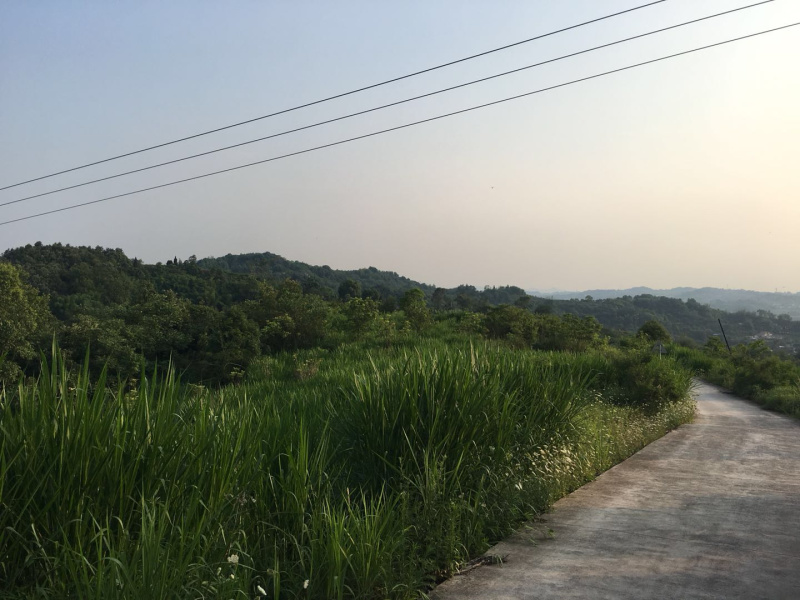 养殖场出租30年一口价