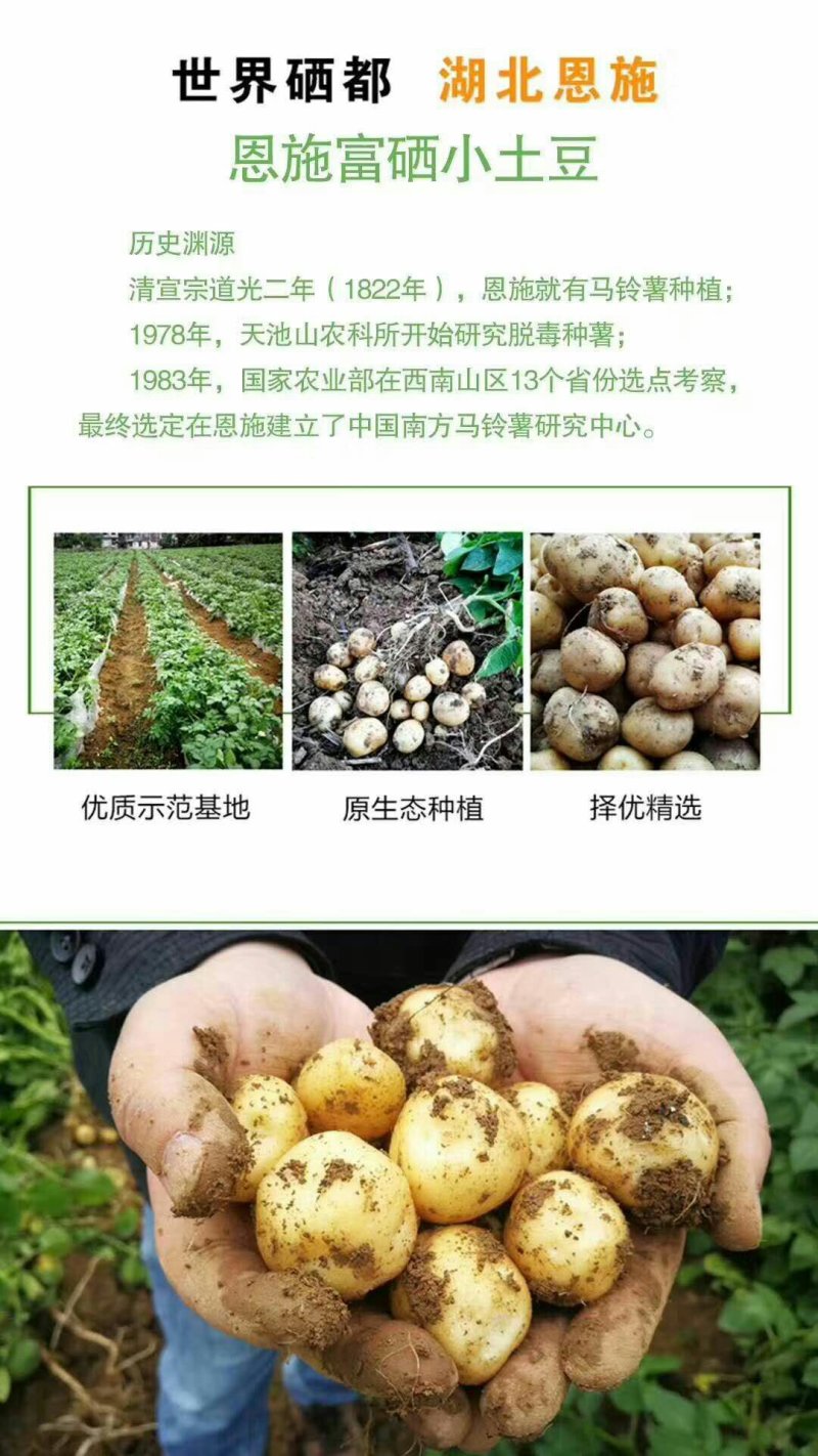 你下的每一单都是对中国农民的支持和肯定，正宗恩施马尔科