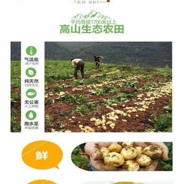 你下的每一单都是对中国农民的支持和肯定，正宗恩施马尔科
