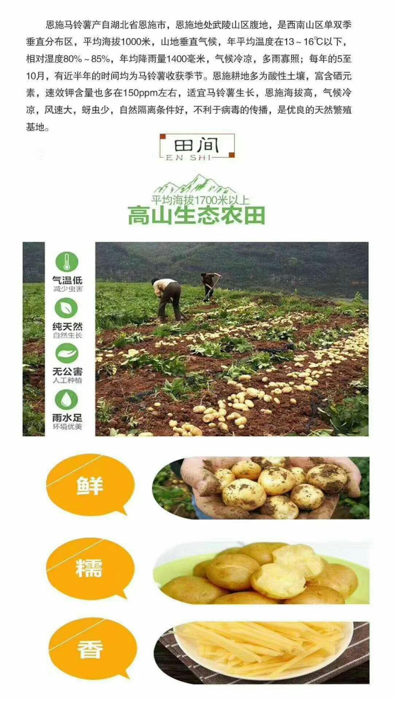 你下的每一单都是对中国农民的支持和肯定，正宗恩施马尔科