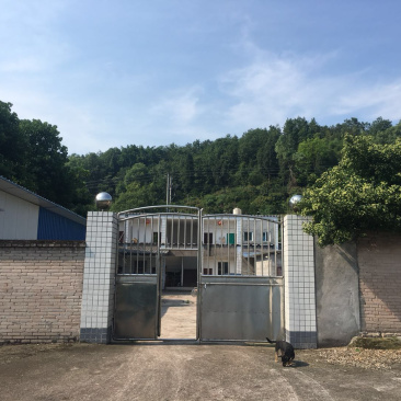 养殖场转让可以养殖羊牛鸡鸭鹅兔手续齐全！