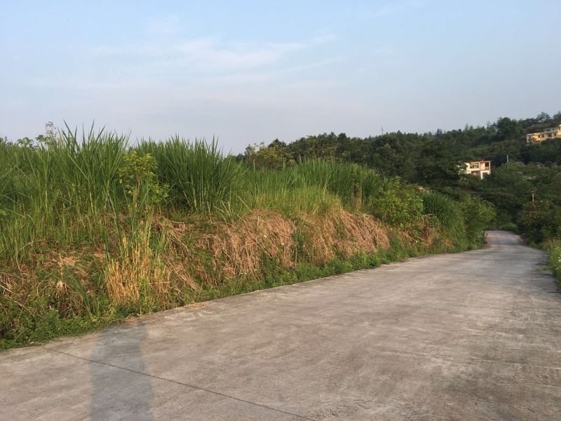 养殖场转让可以养殖羊牛鸡鸭鹅兔手续齐全！