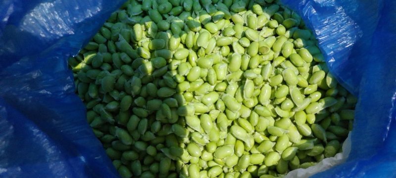精品新鲜纯手工毛豆仁，保质保量，产地直发，货源充足