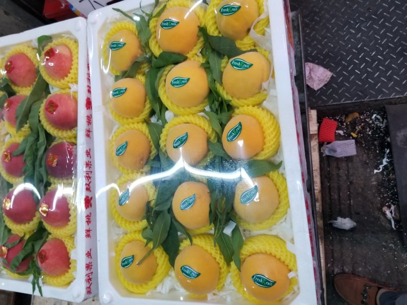 六安毛桃突围毛桃桃子毛桃六安产区脆甜，质量好