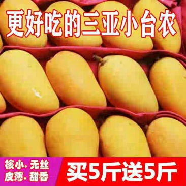 【一件代发】海南芒果台农三亚小台农带箱10斤胜玉芒贵