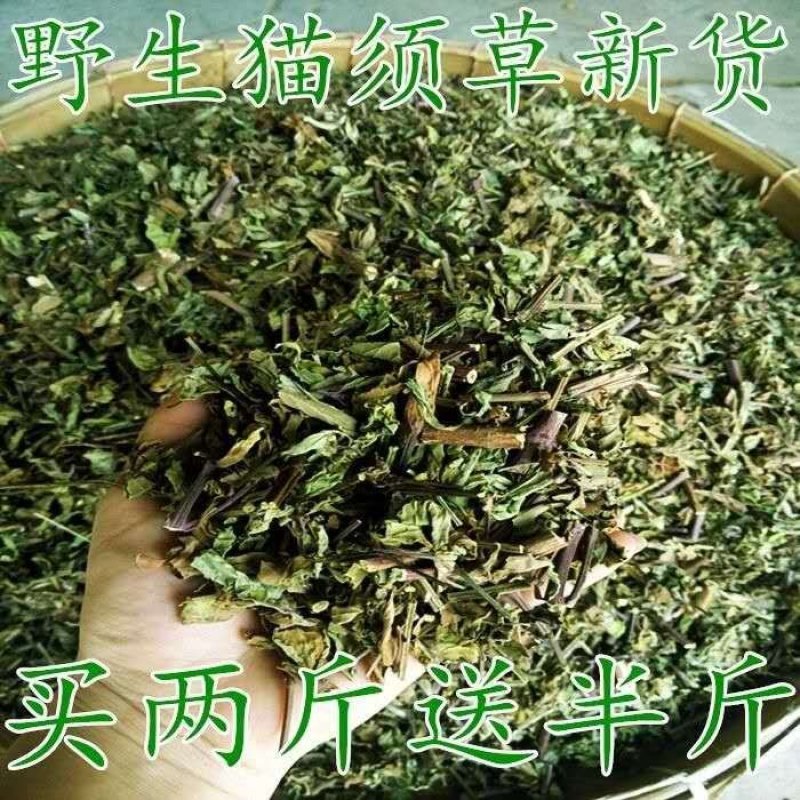 云南野生猫须草肾茶化石草养生茶猫须公中药材包邮