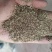 花生秧碎叶：绿色超70%以上