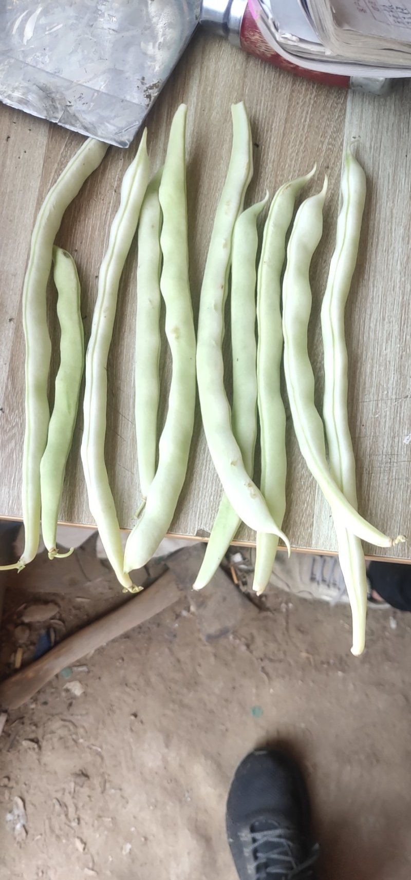 精品九粒白米都大量上市，有需要的客户前来选购，基地直销